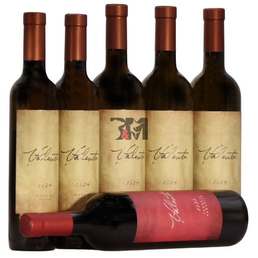 Slika Valenta Winemaker’s Selection pack