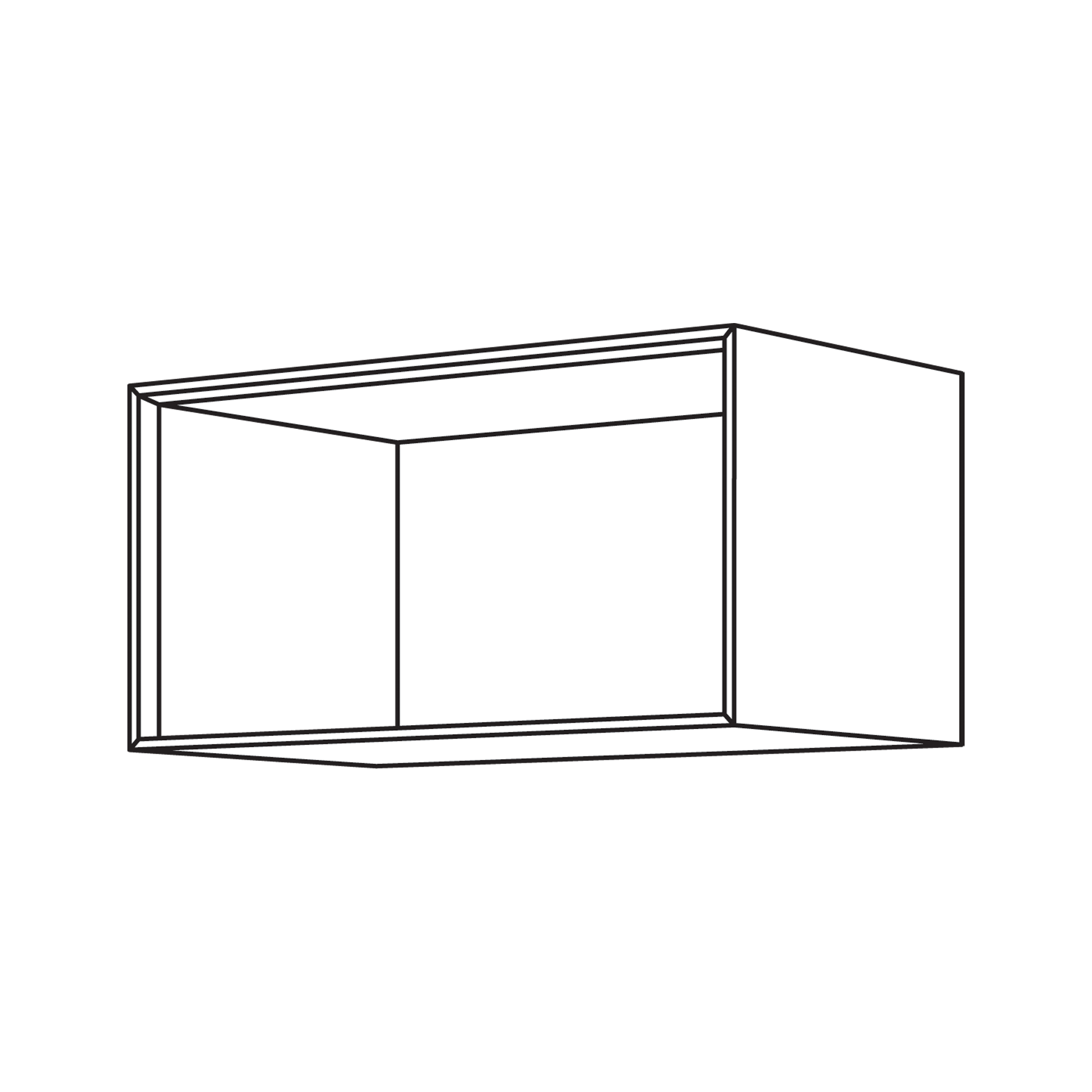 36856 - WFR60-36 - Facettenregal.png
