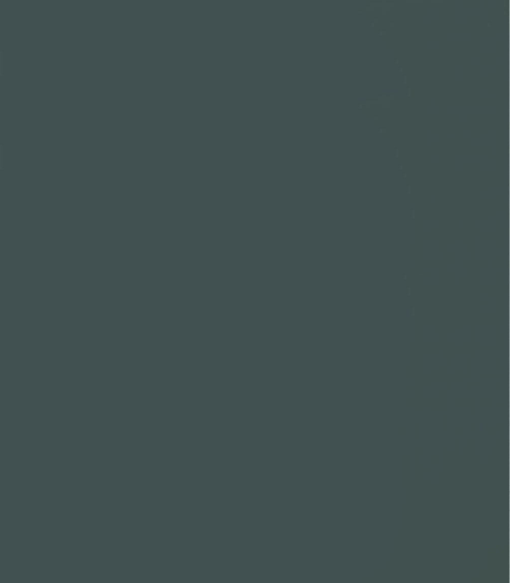 Farbmuster der Nobilia Wange in 491 Lack, Schiefergrau Premium matt